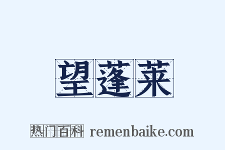 望蓬莱是什么意思的图片